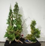 14 - Grace Furuya.jpg 5.3K